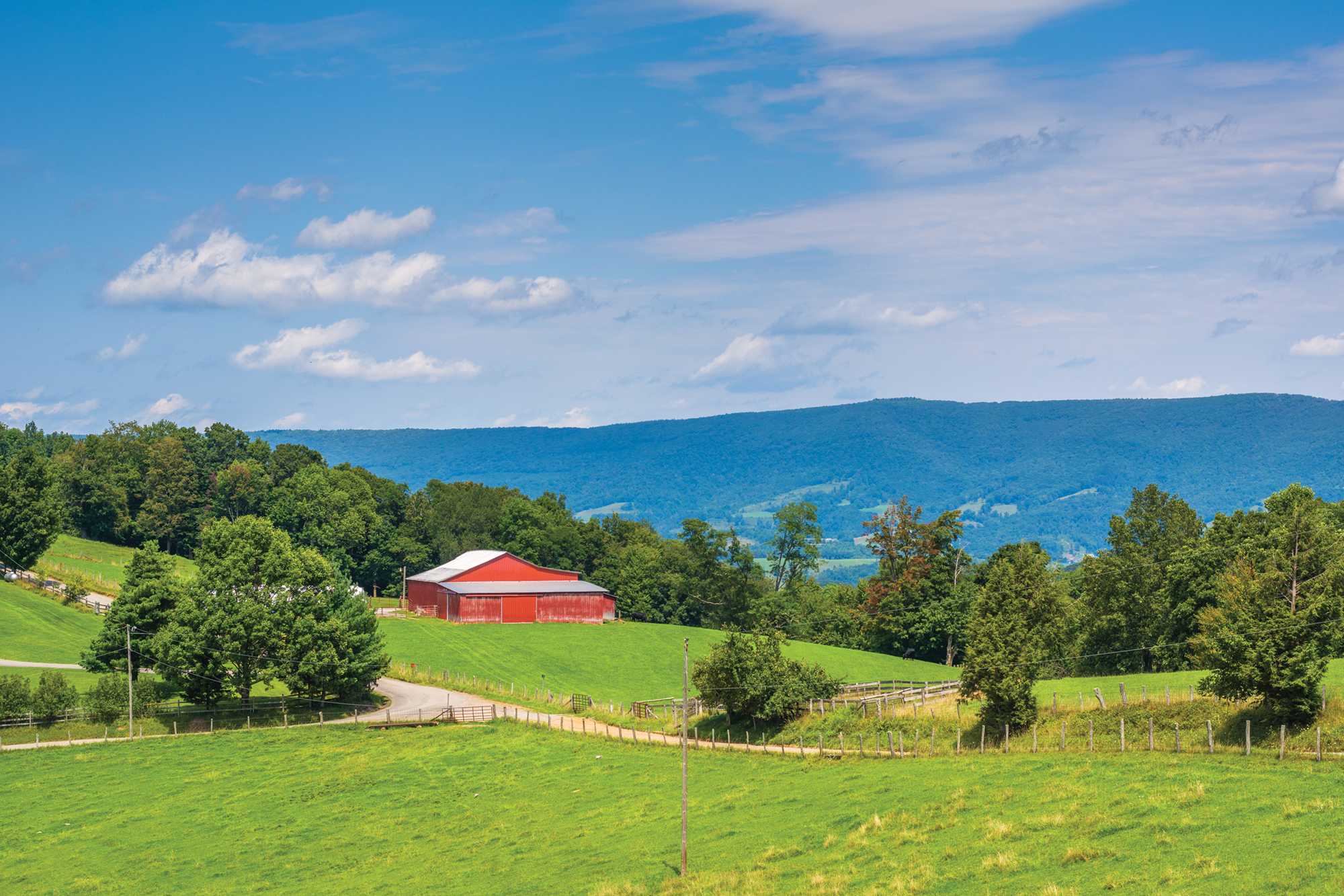 Mark Bowe Inspiration Photo for Greenbrier barnwood flooring