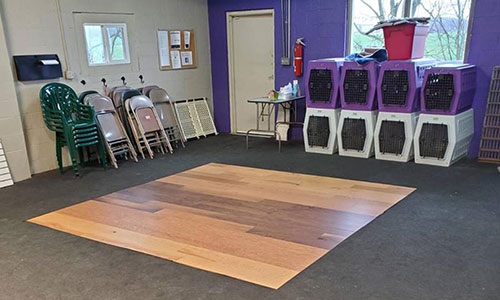 DogSense Doggie Daycare with Dogwood Floors