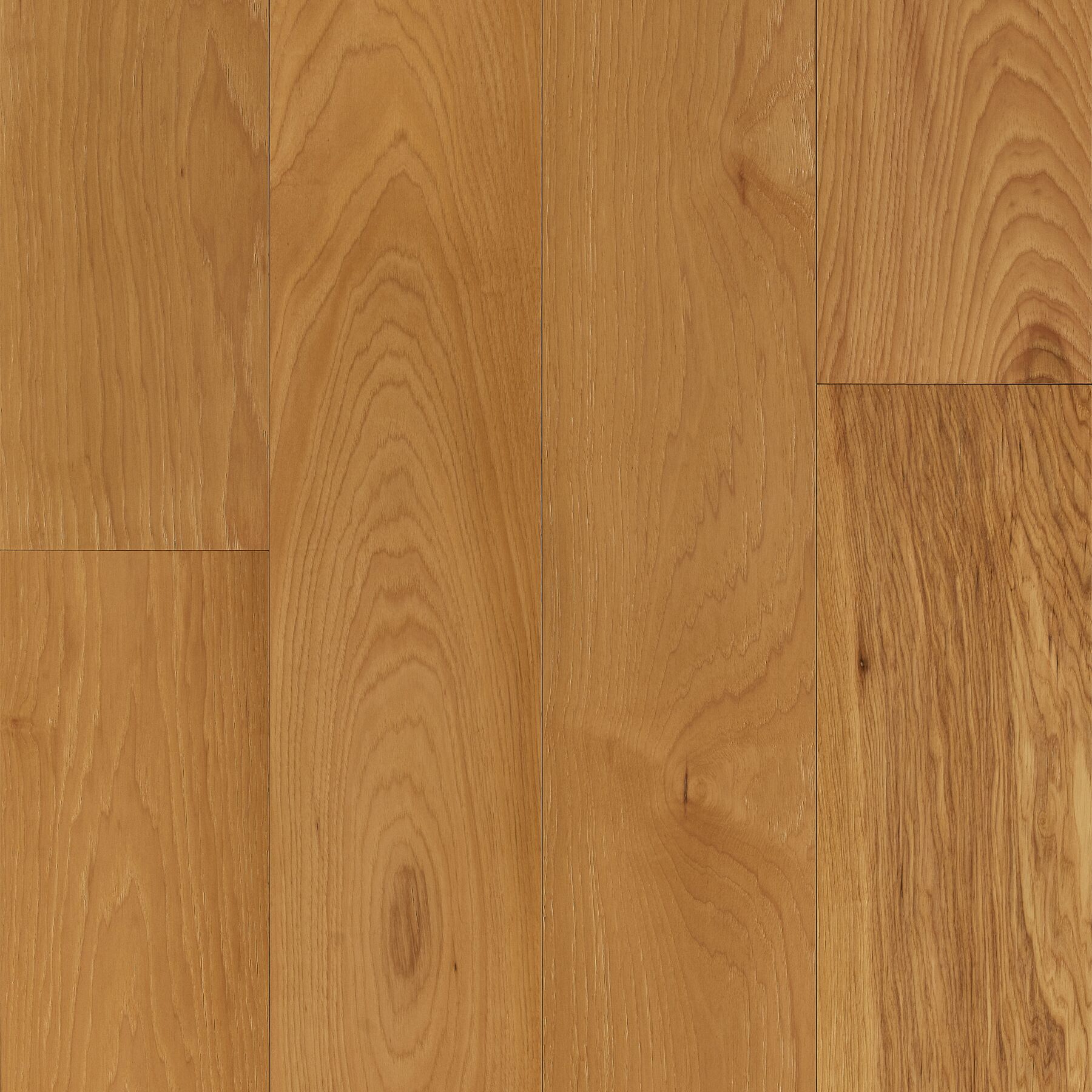 Auggie Dogwood Densified Wood Flooring with hardened wood for dog proof hardwood floors