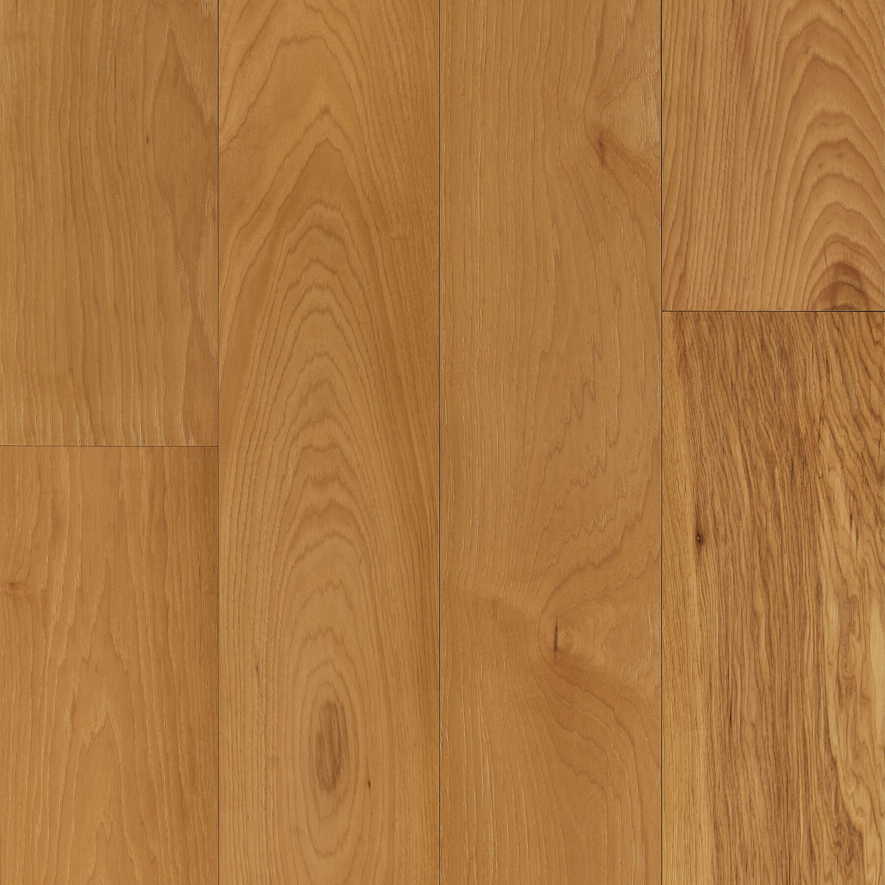 Auggie Dogwood Densified Wood Flooring that's Pet Friendly