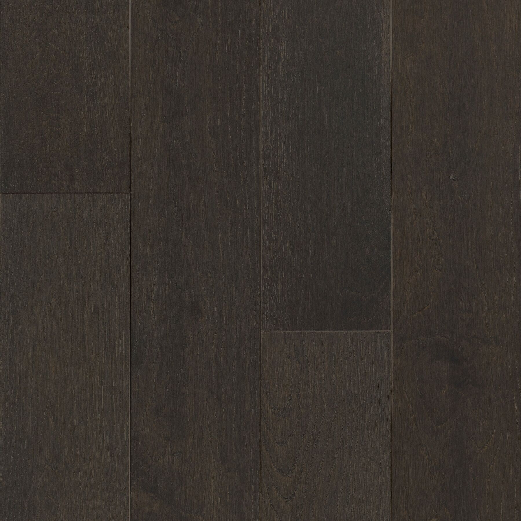 Bernard Dogwood Pet-Friendly Hardwood Flooring