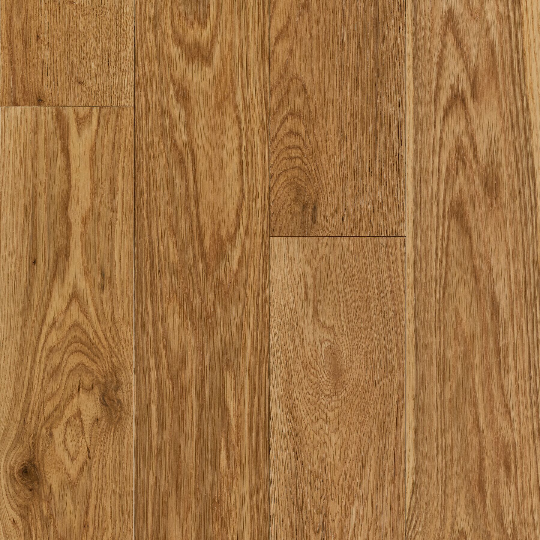 Thatcher Dogwood Hardwood Flooring Featuring Densified Wood That's Pet-Friendly