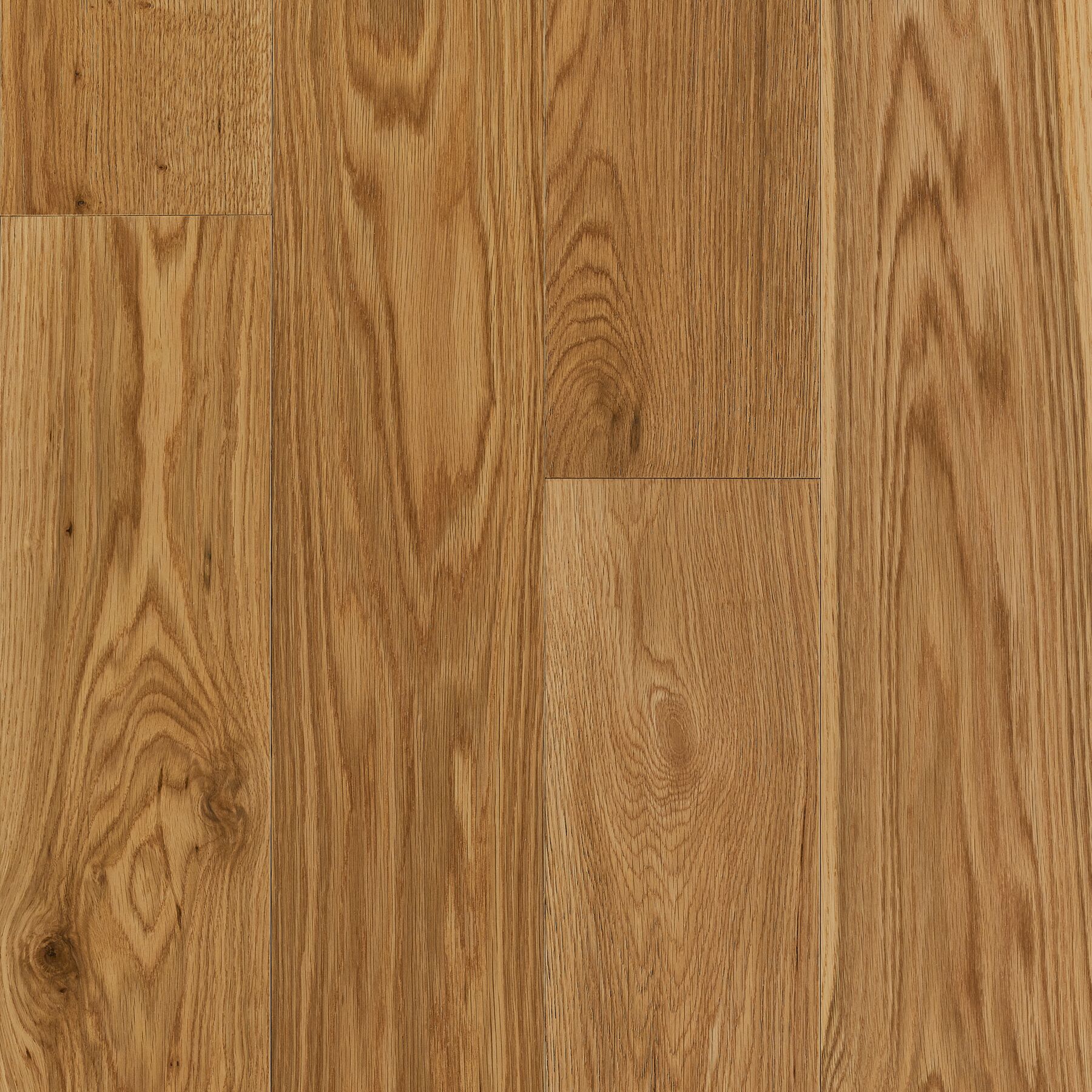 Thatcher Dogwood Hardwood Flooring That's Dog Friendly