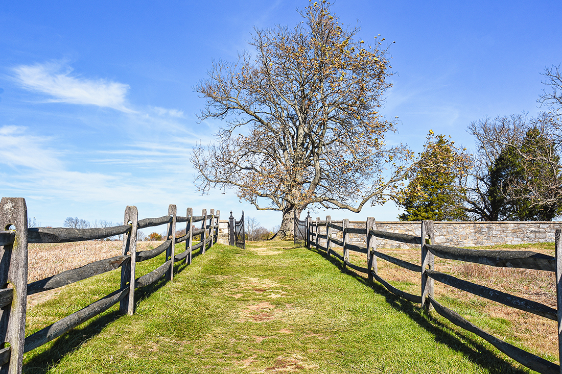 Split Rail