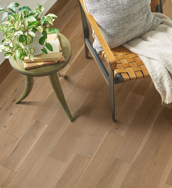 plant and chair on flooring