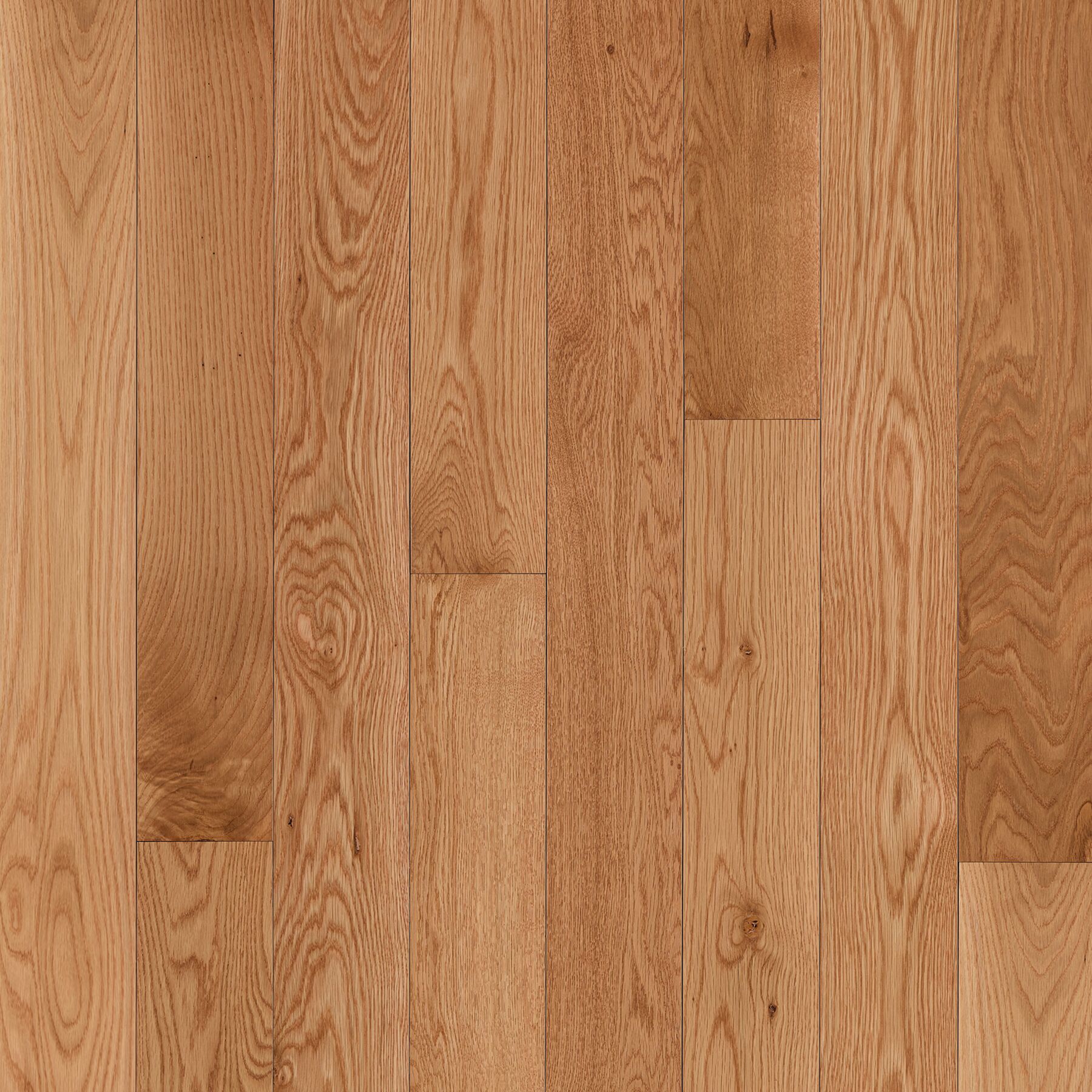 Dundee Seashell Solid Hardwood CB230