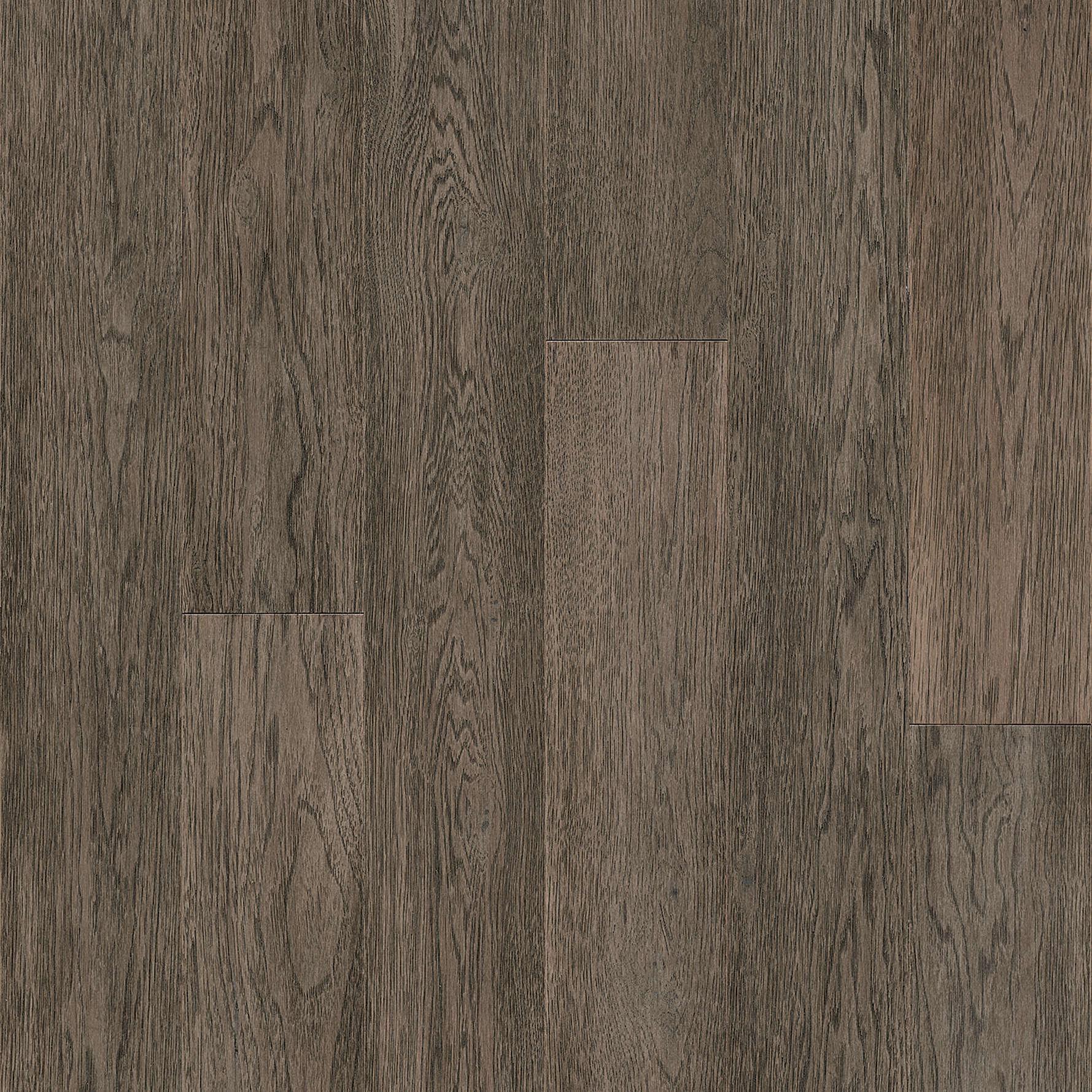 Hydropel Taupe Engineered Hardwood EHWR54L80WR