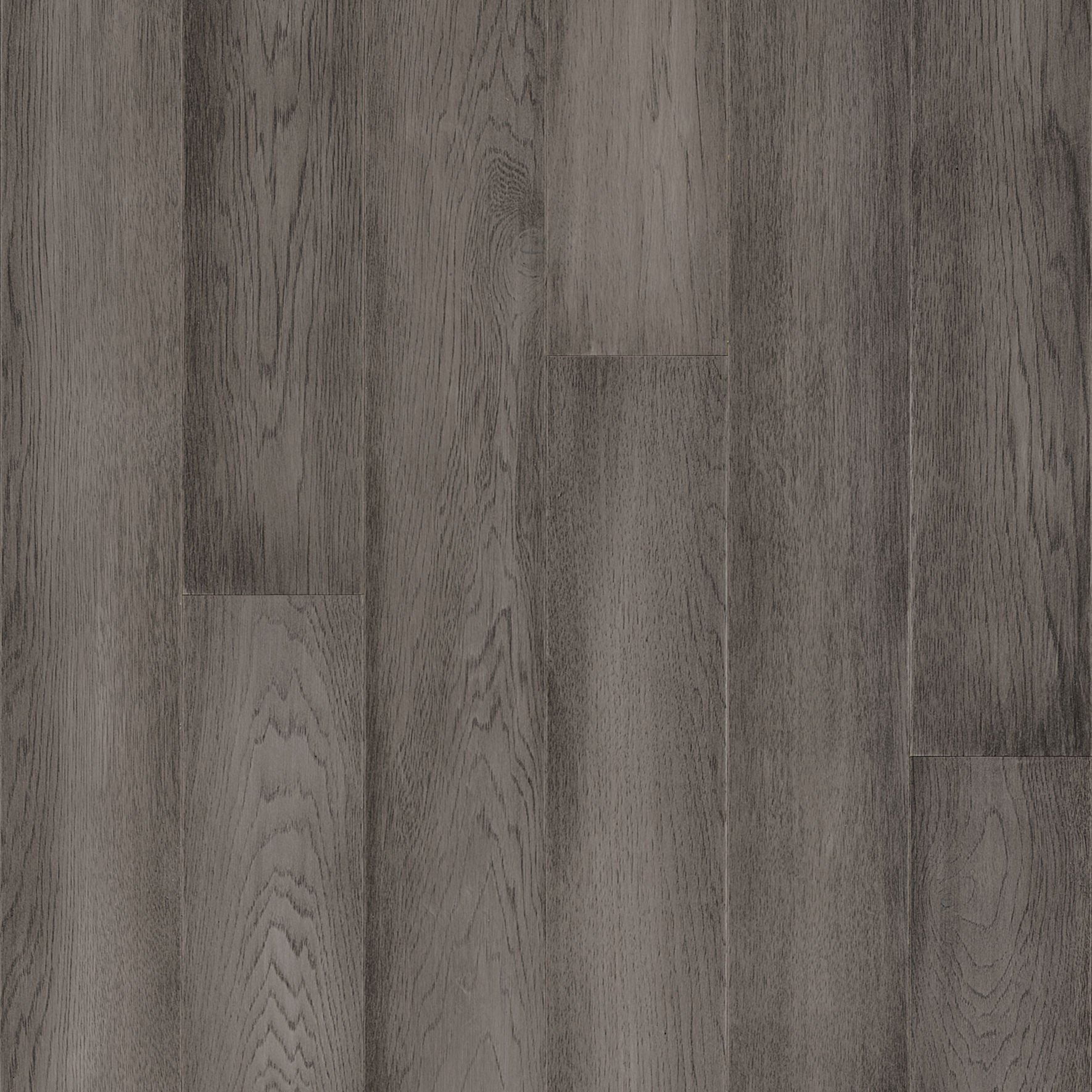 Hydropel Cool Gray Engineered Hardwood EHWR54L85SR