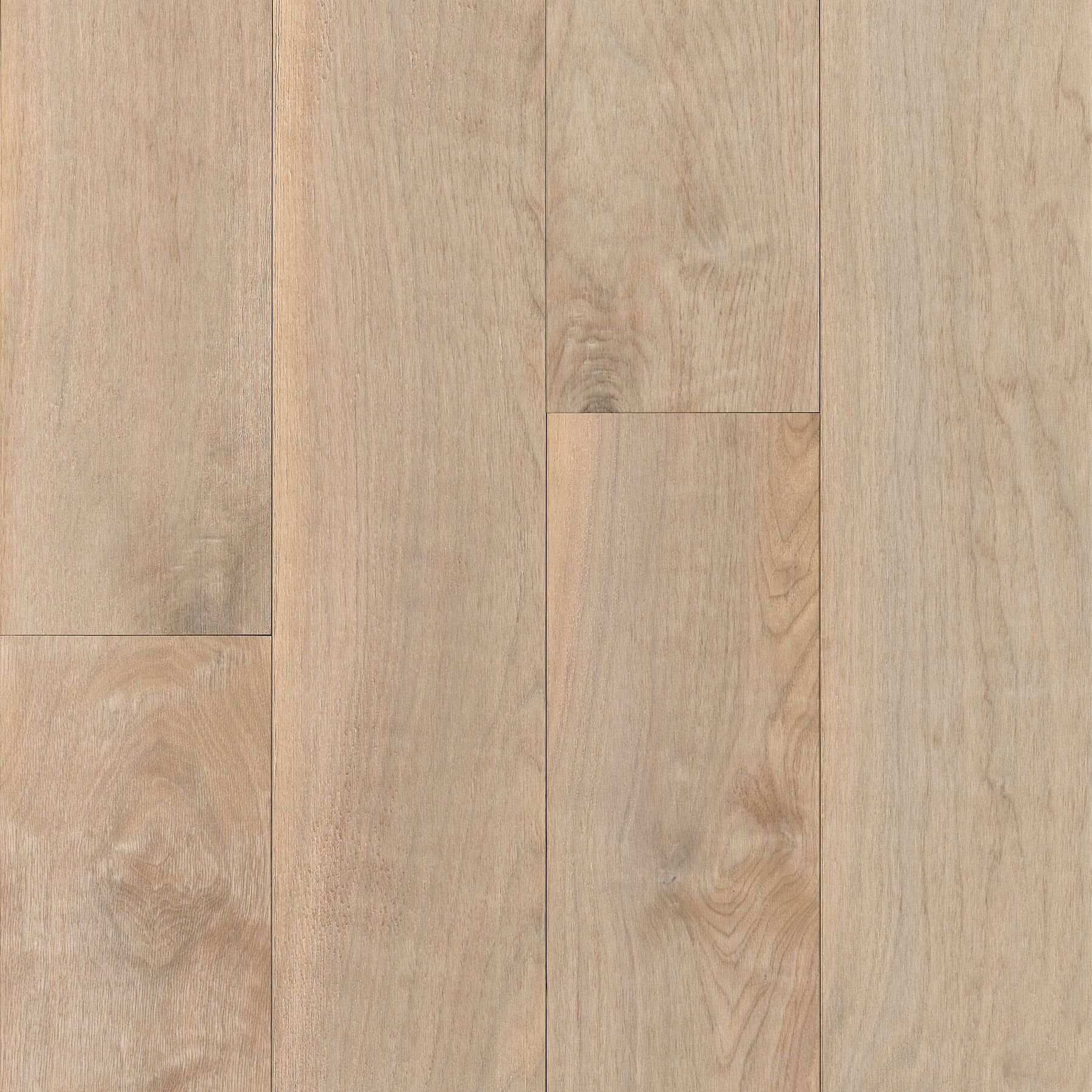 Dogwood Siberian Engineered Hardwood EWDG85L13W