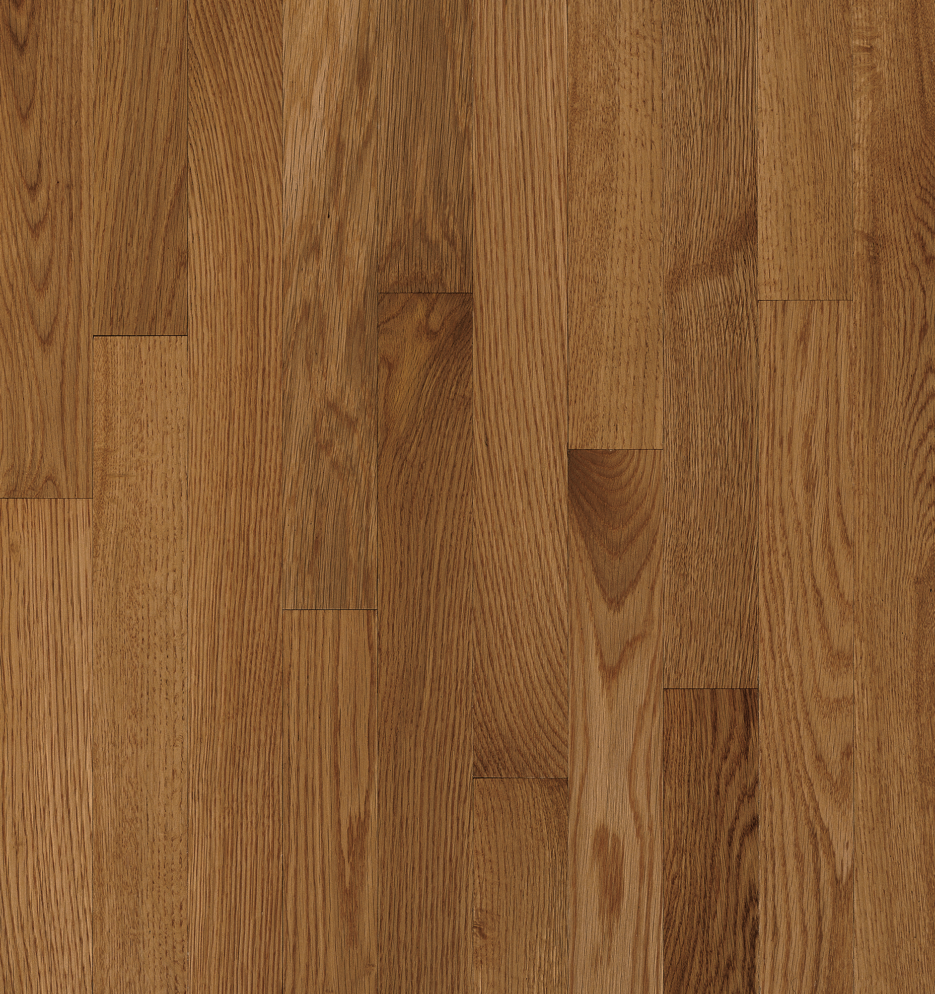 Oak Solid Hardwood C5014, Bruce Hardwood Flooring Samples