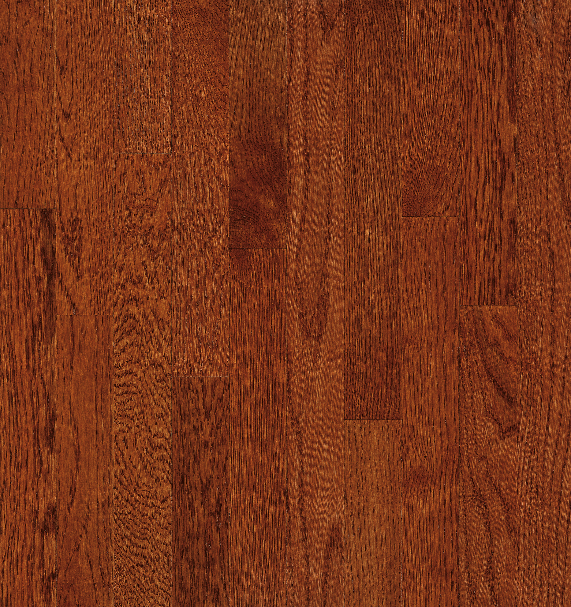 Amber 2 1 4 In Oak Solid Hardwood C5060, Bruce Hardwood Floor Polish