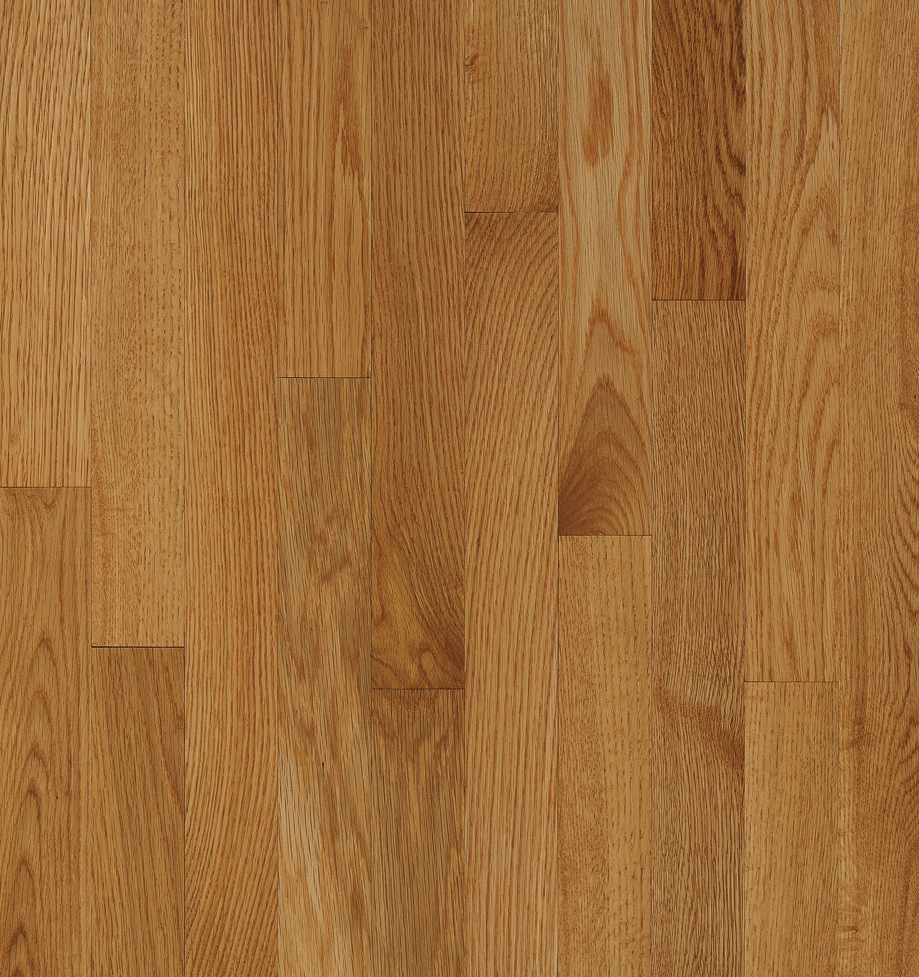 Natural Choice Desert 2 1 4 In, How Many Square Feet In A Box Of Bruce Hardwood Flooring