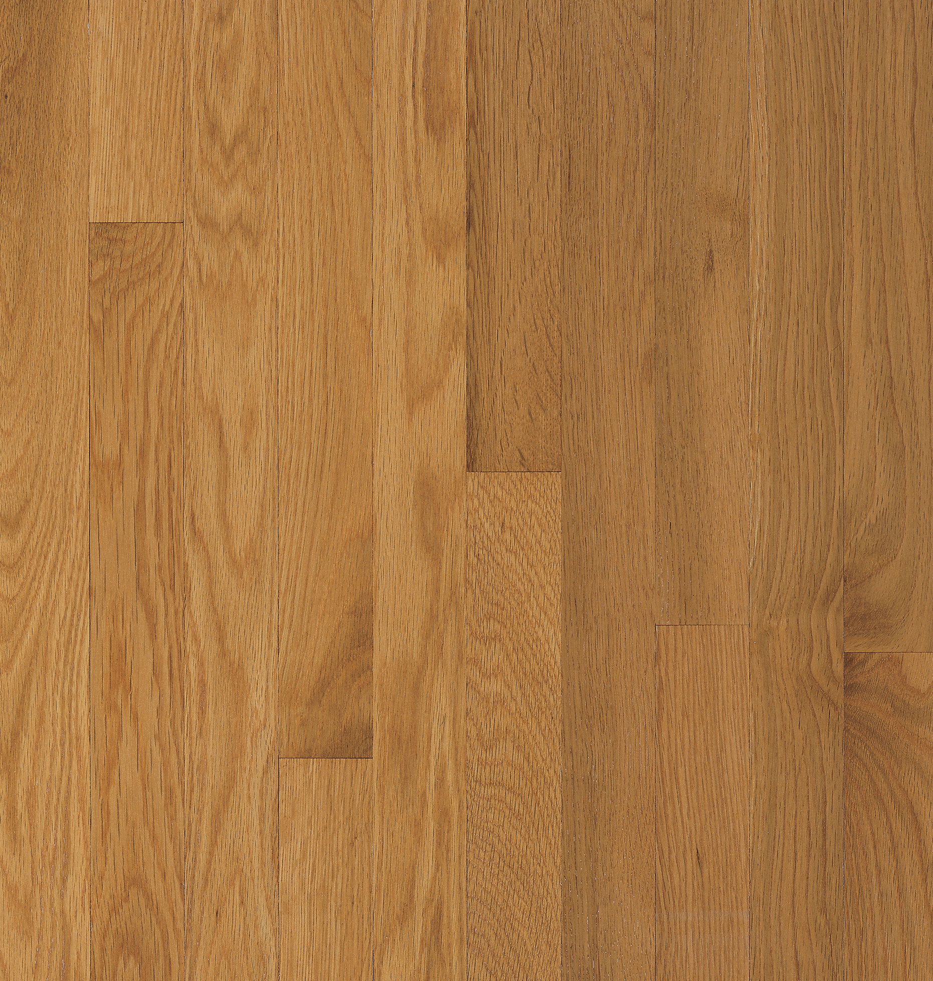 Waltham Cornsilk Solid Hardwood C8339