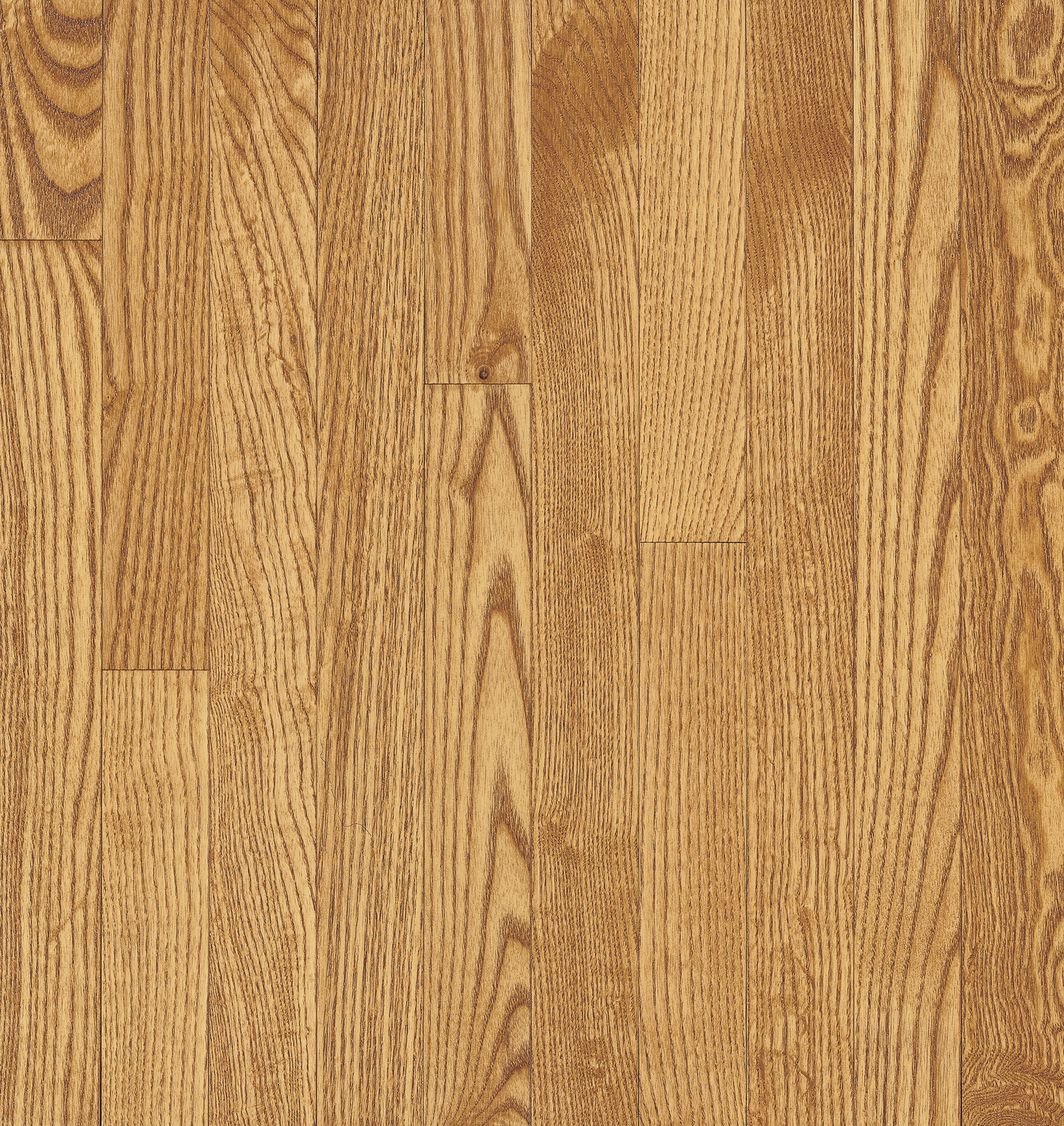 Westchester Seashell Solid Hardwood CB430